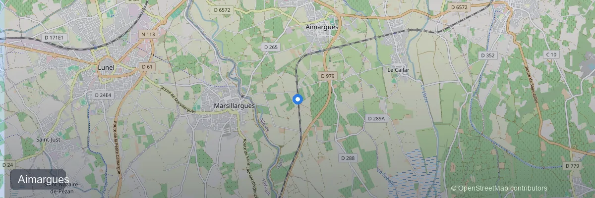 Panneaux solaires à Aimargues (30470) : prix, aides et rentabilité 2026