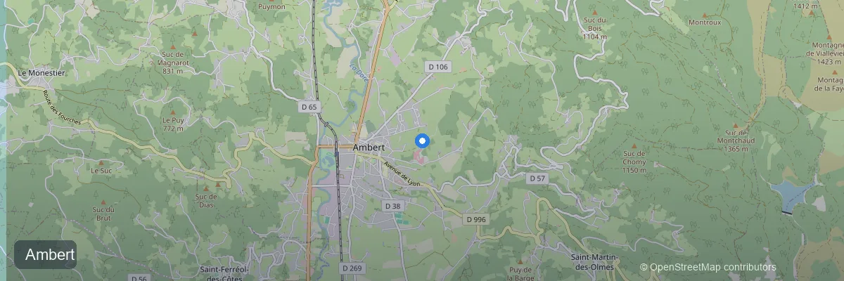 Panneaux solaires à Ambert (63600) : prix, aides et rentabilité 2026