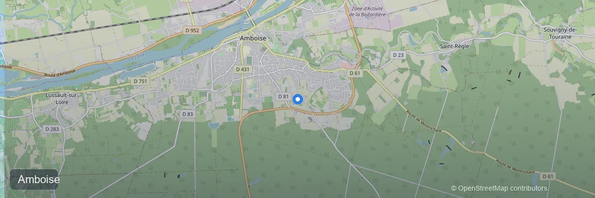 Panneaux solaires à Amboise (37400) : prix, aides et rentabilité 2026