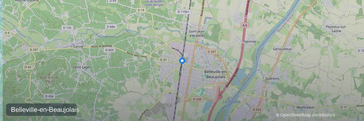 Panneaux solaires à Belleville-en-Beaujolais (69220) : prix, aides et rentabilité 2026