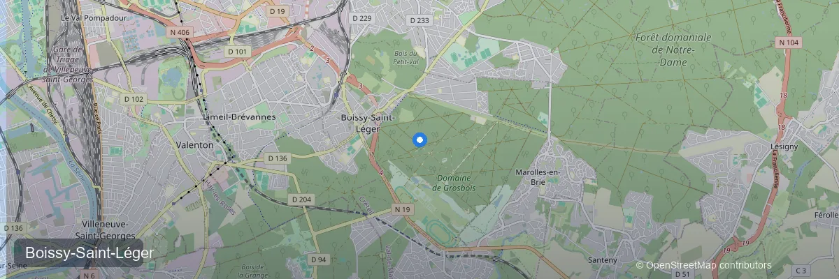 Panneaux solaires à Boissy-Saint-Léger (94470) : prix, aides et rentabilité 2026